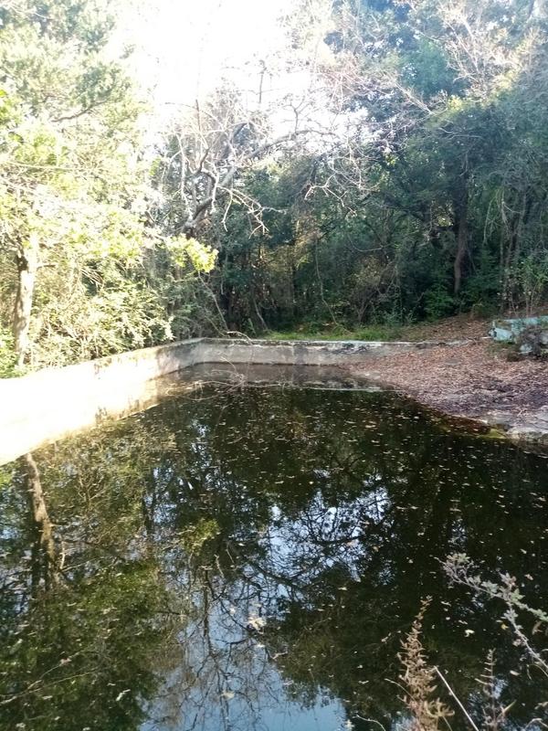 3 Bedroom Property for Sale in Hogsback Eastern Cape